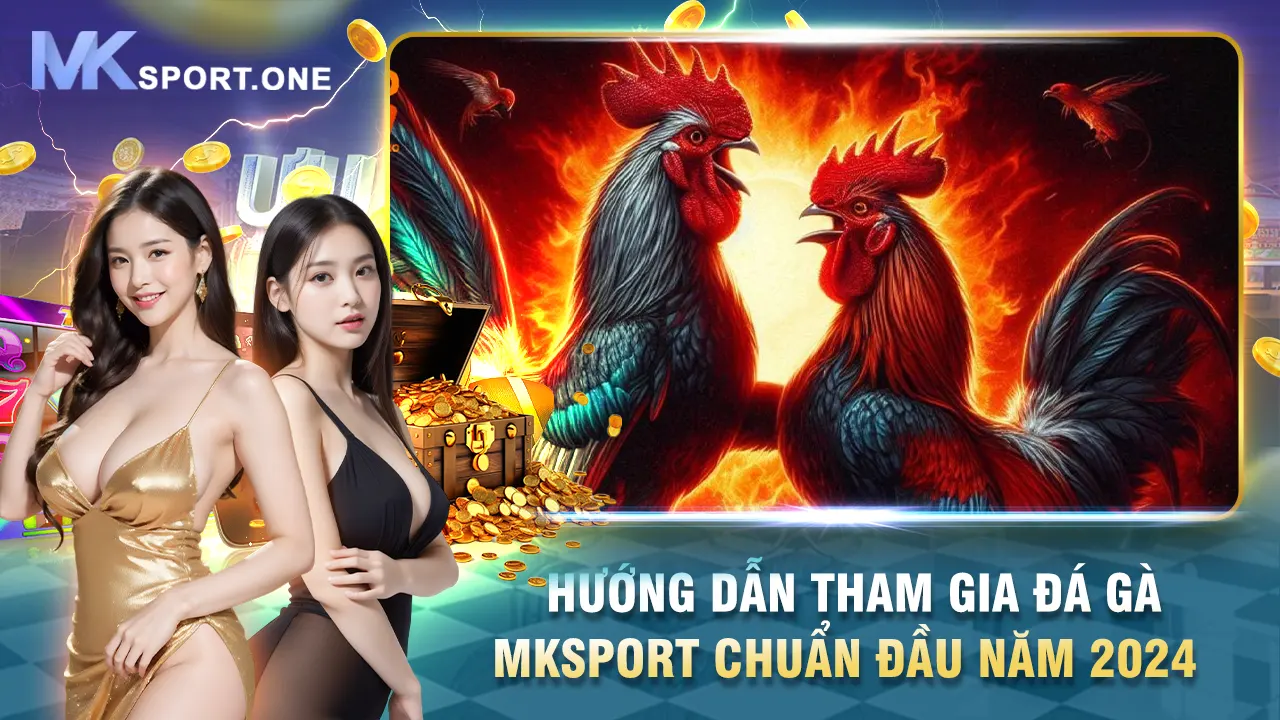 Hướng dẫn tham gia đá gà mksports chuẩn đầu năm 2024